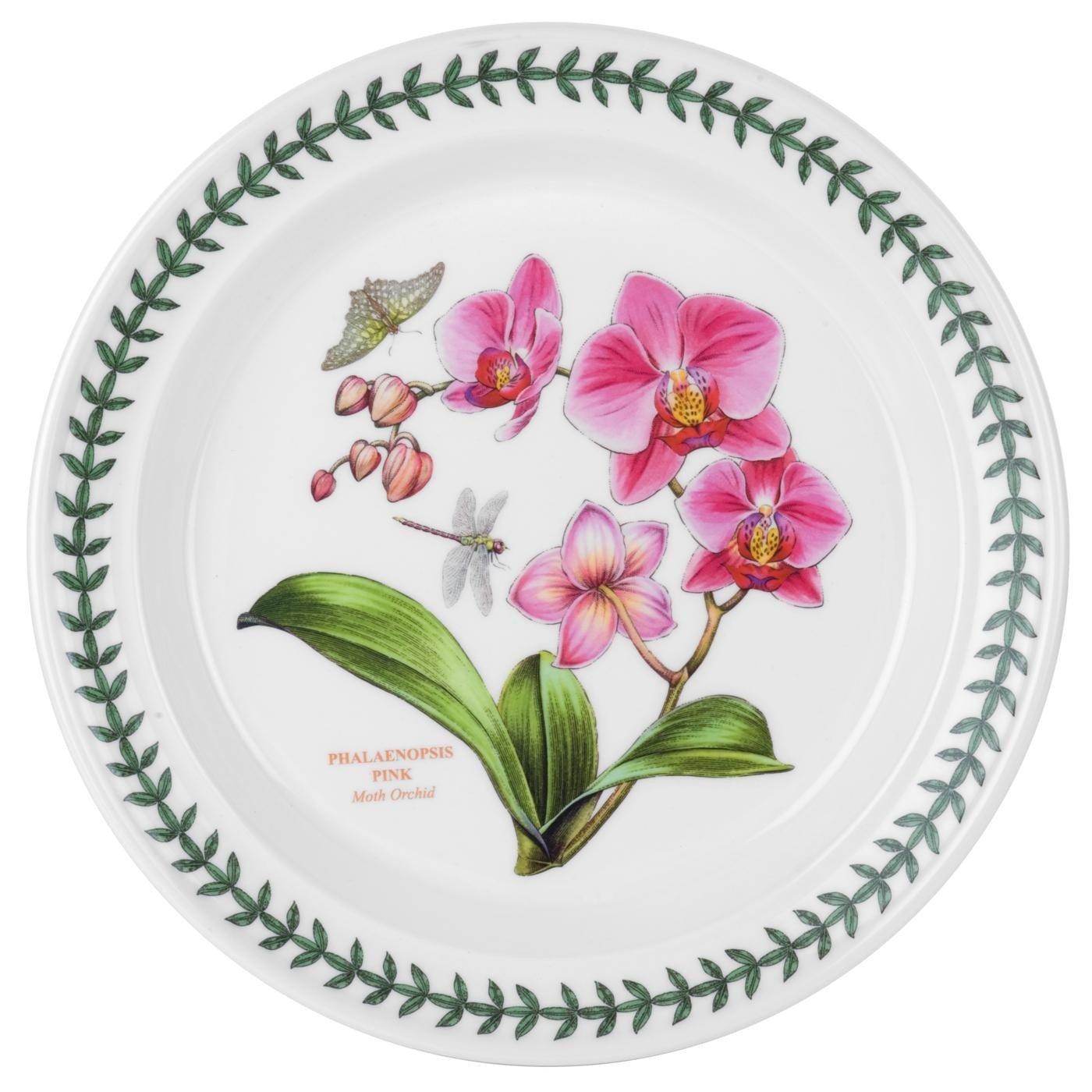 Amazon.com | Portmeirion Exotic Botanic Garden Dinner Plate with